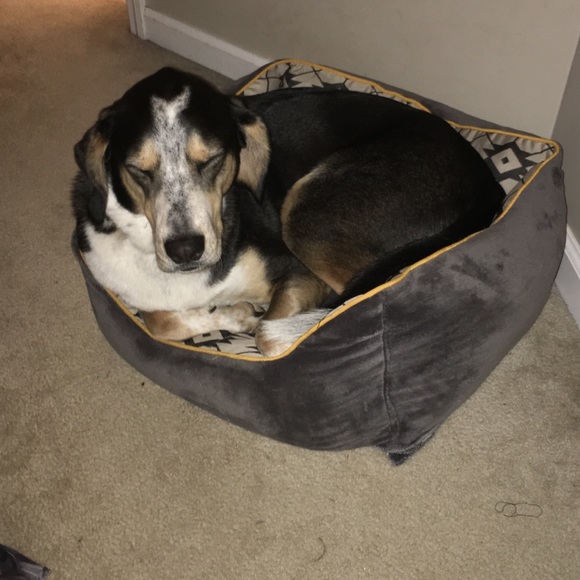 Meet your Posher, Mindy - Picture 1 of 1